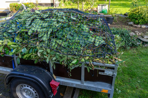 Best Recycling Services for Junk  in Clarksburg, WV